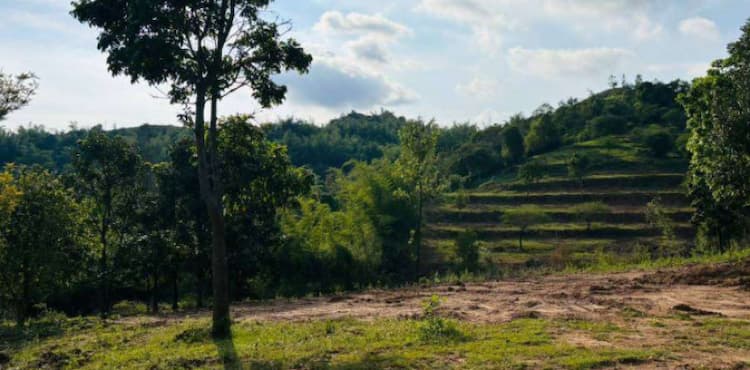 Land for Sale