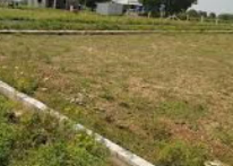 Land for sales