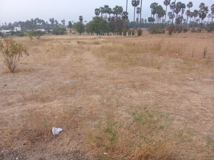 Land for sales