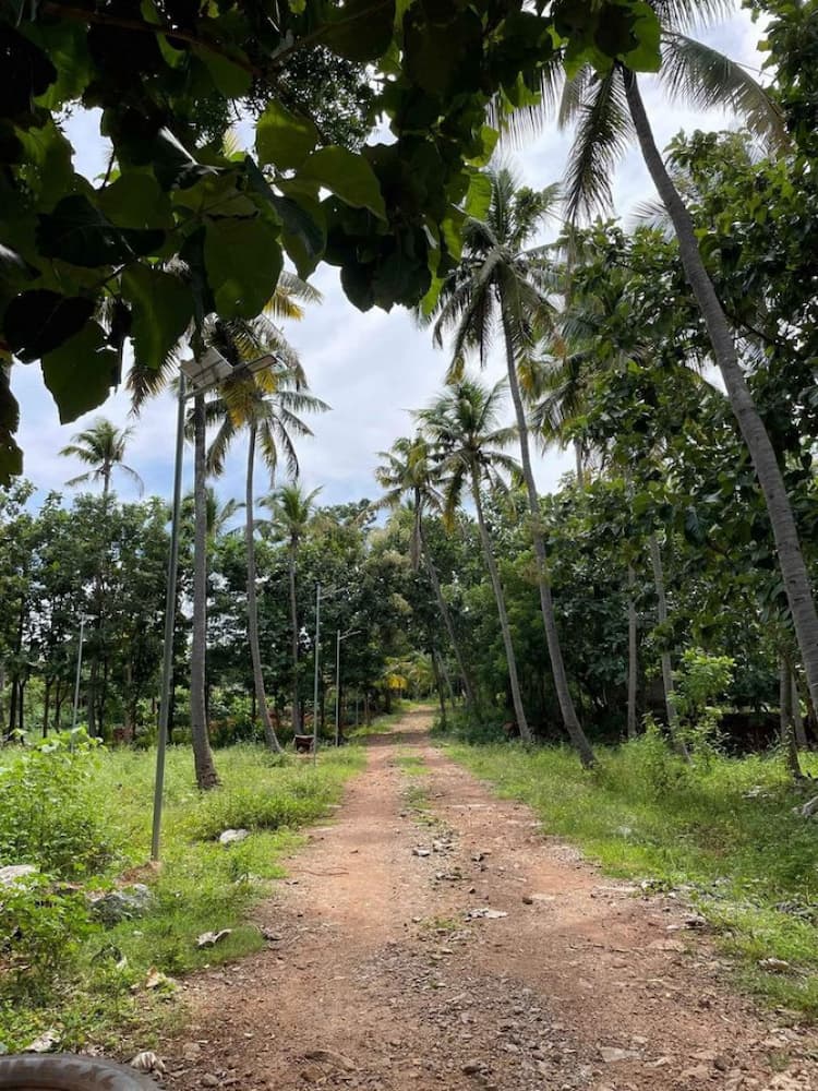 Single Property Image