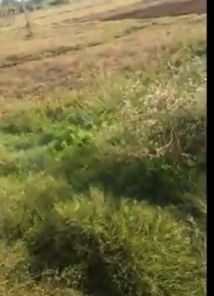 1.50 acre land for sales