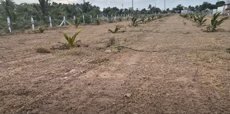 Land for Sale