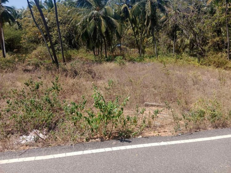 Single Property Image