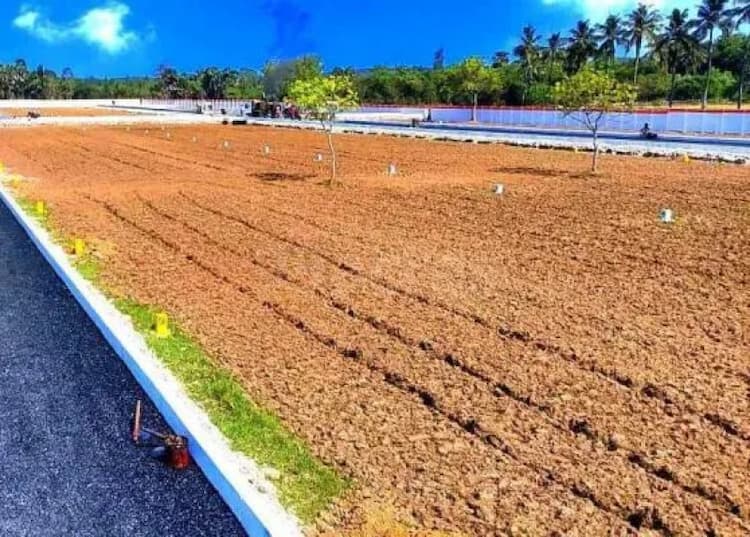 land sale