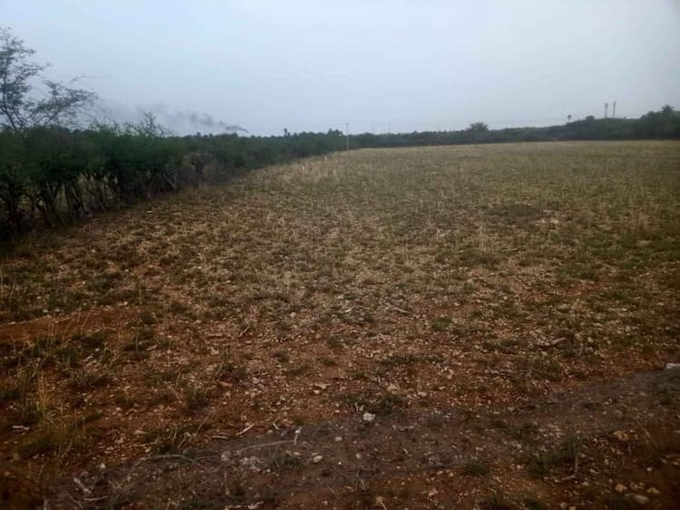 1 Acra 30 cent Agri land sale