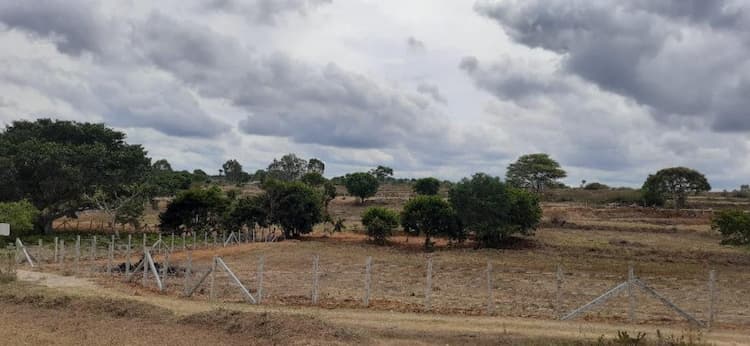 Agricultural Land 