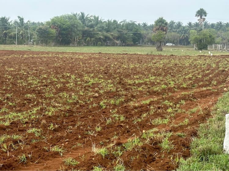 Agricultural land for sale