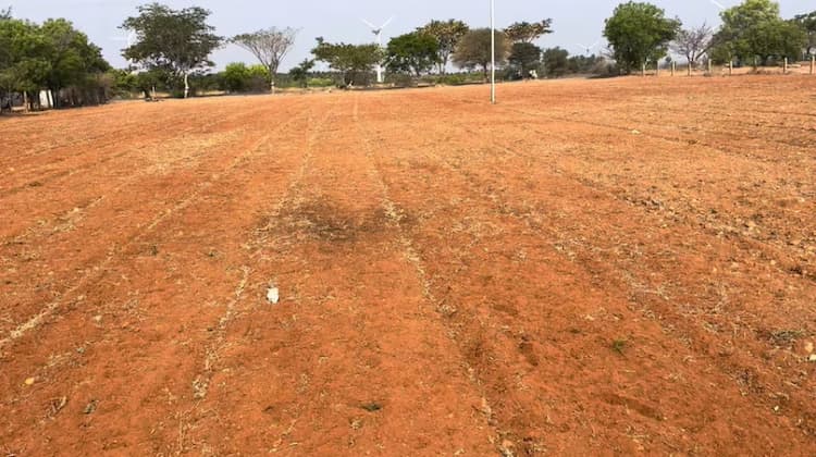 Land for sale