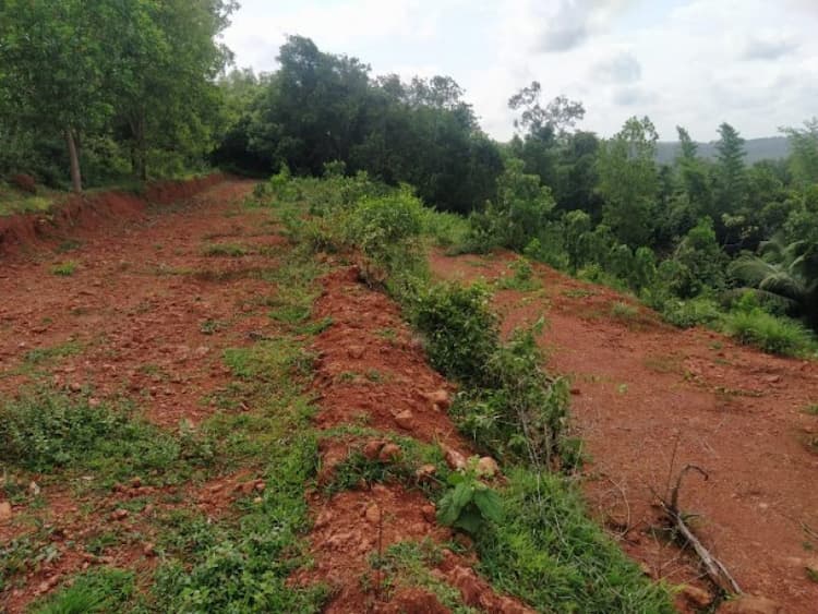Land for sale