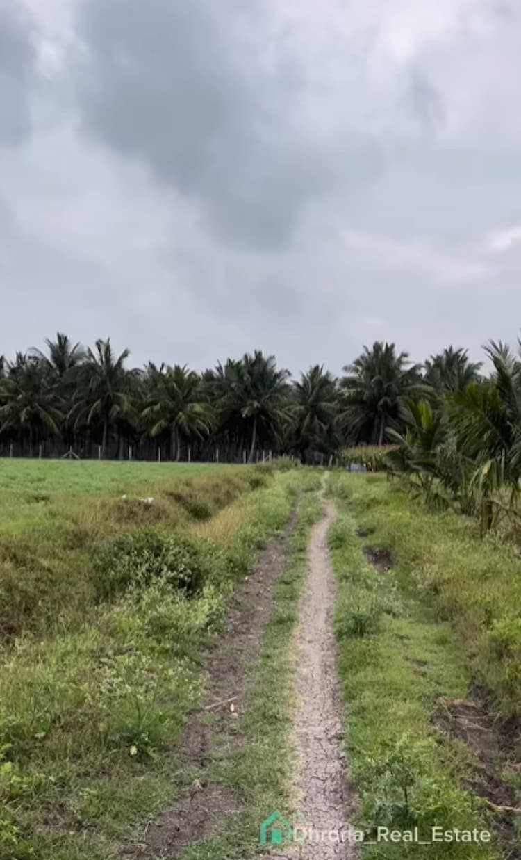 Farm Land For Sale