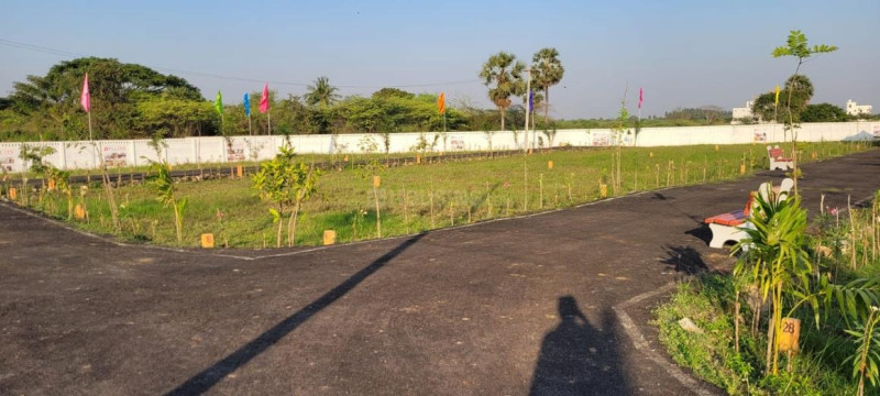 Residential Plot