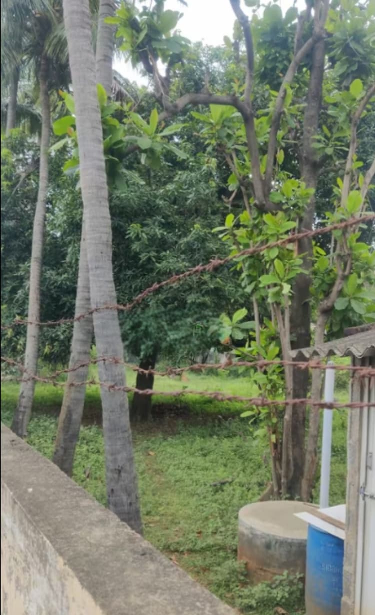 Land for sales