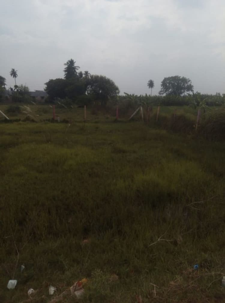 Plot sale
