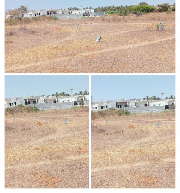 Plot sale