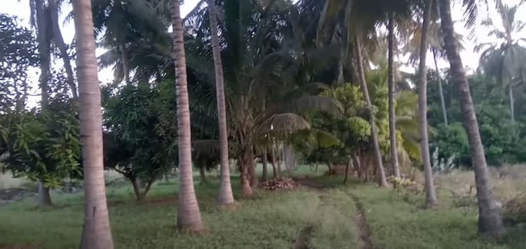 Single Property Image