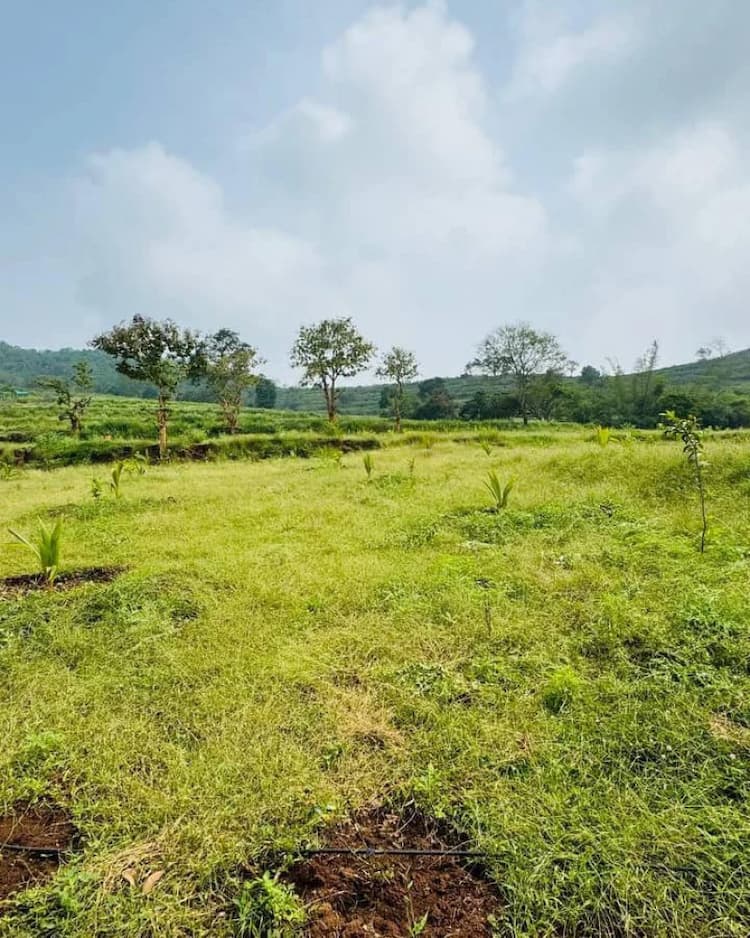farm alnd for sale