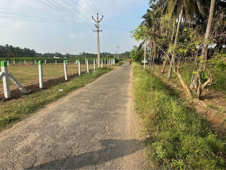 Agri Land For Sale