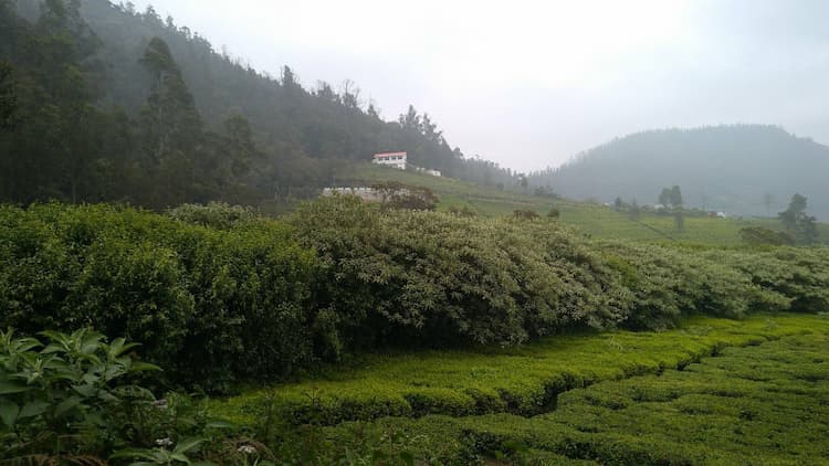Single Property Image
