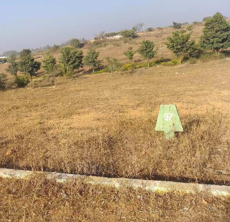 Plot sale