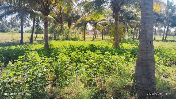 land for sales