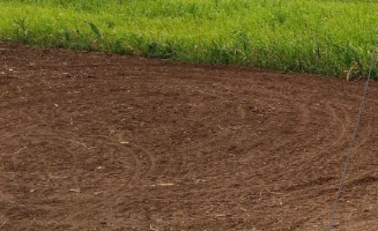 Land for sales