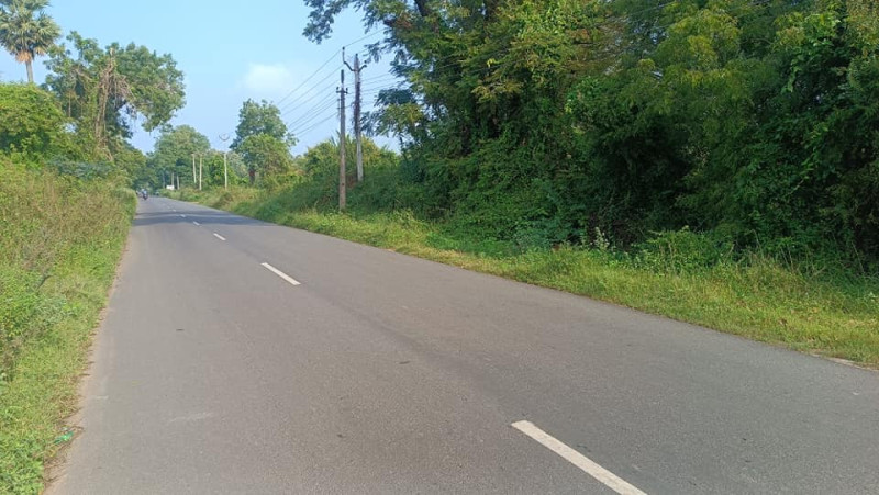 11 acres punjai land for sale