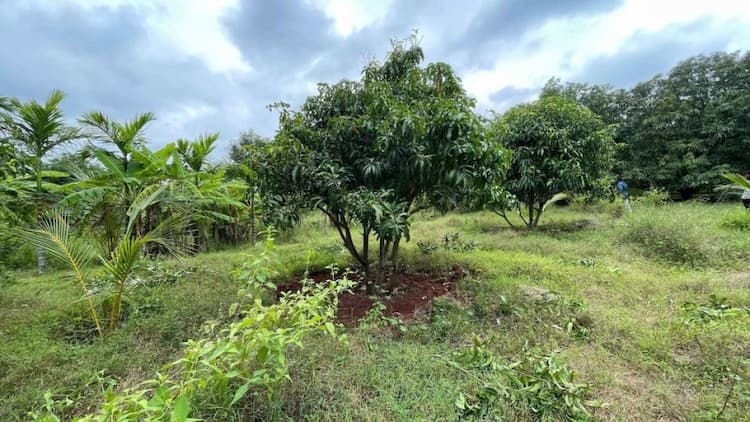 Plot for sale