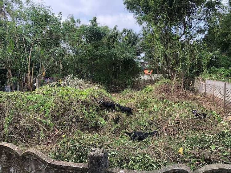 Plot sale