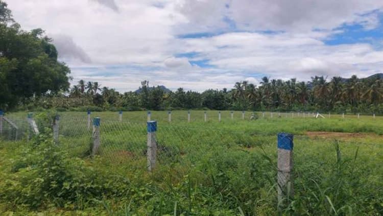 Single Property Image