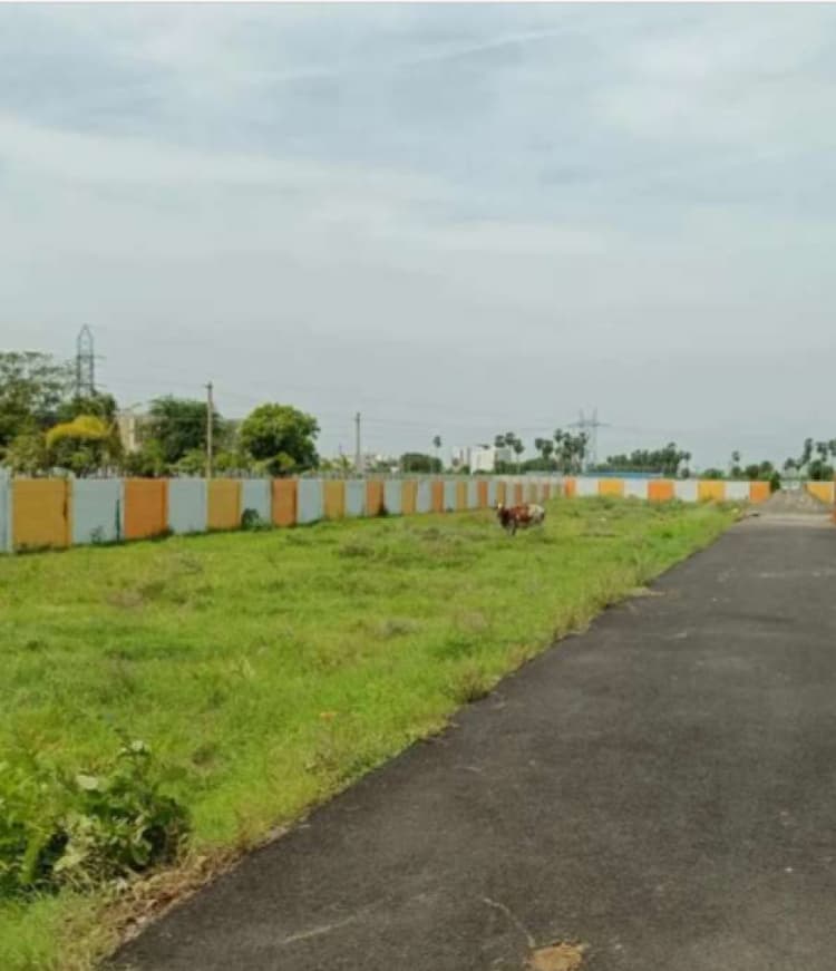 Land for sales