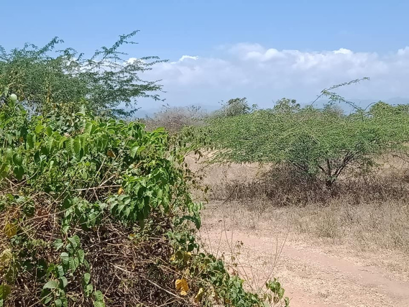 industrial land  for sale