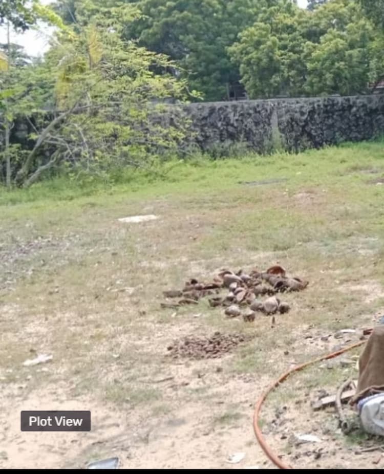 plot for sale 