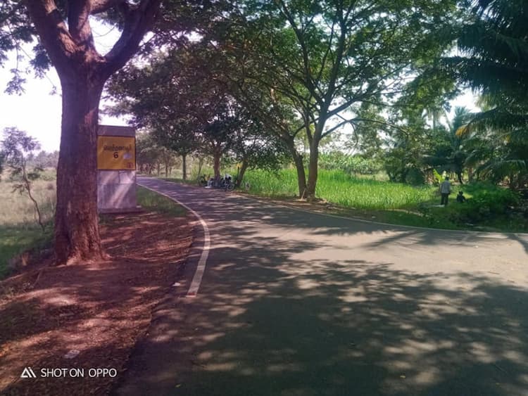 land for sales