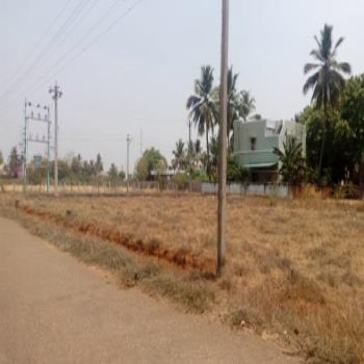 Plot sale
