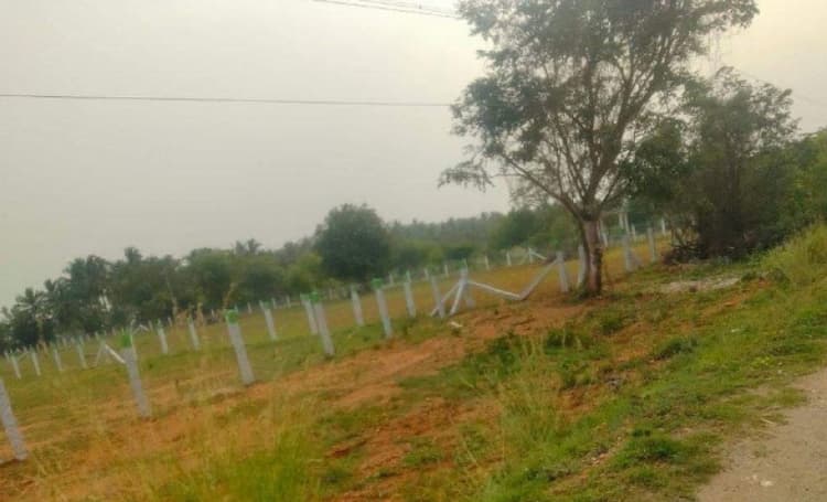 Land for sales