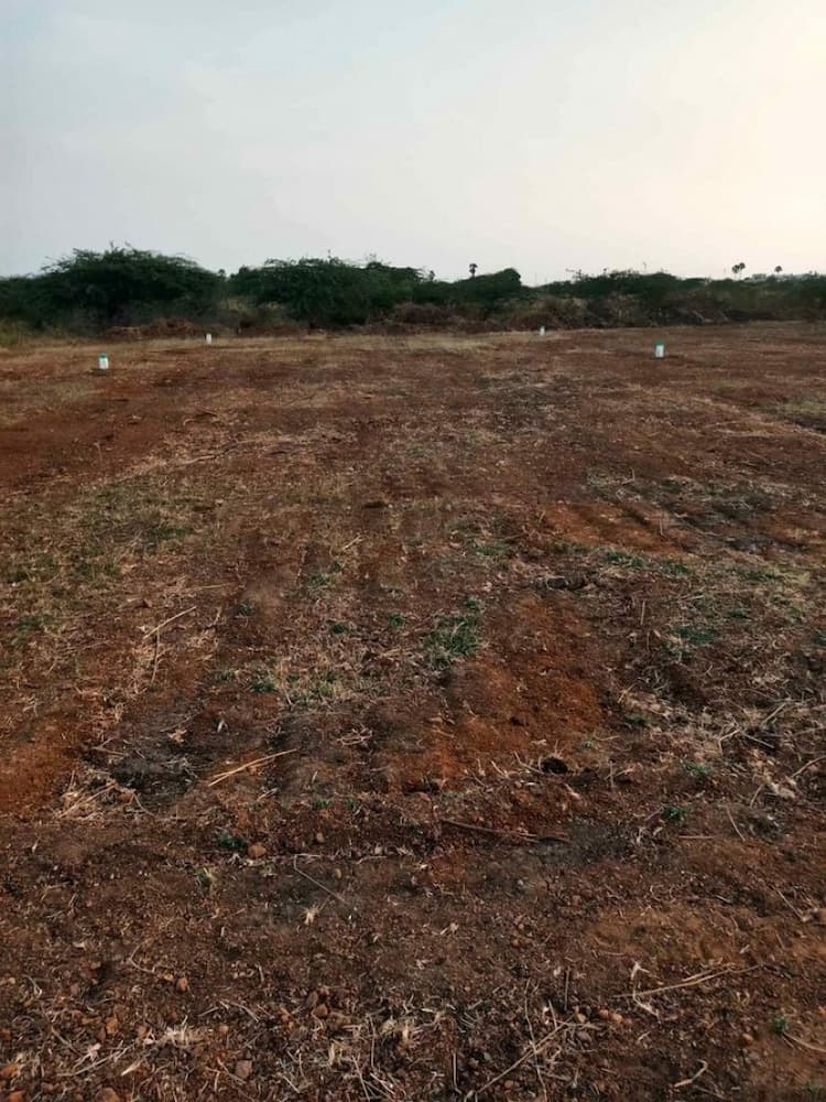 PLot sale