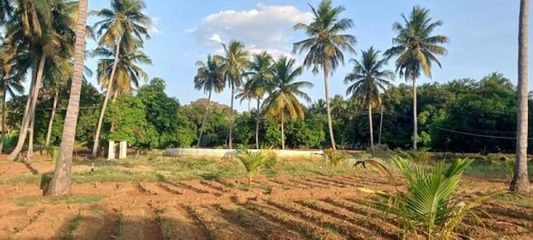 Farm land sale