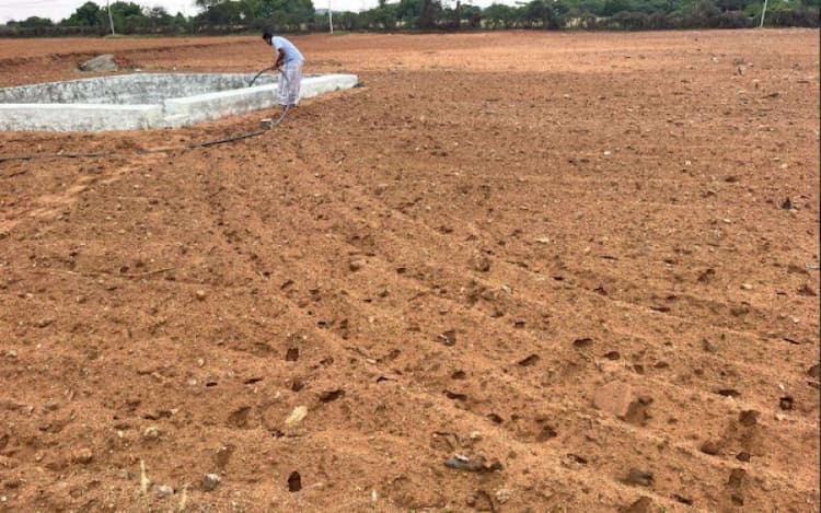 5 Acre Agriculture Land for Sale