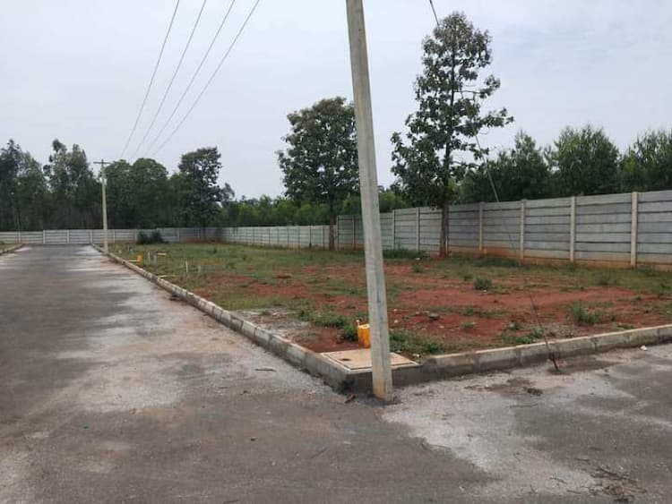 Residential Plot
