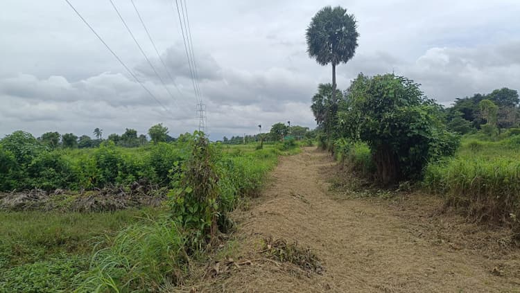 Single Property Image