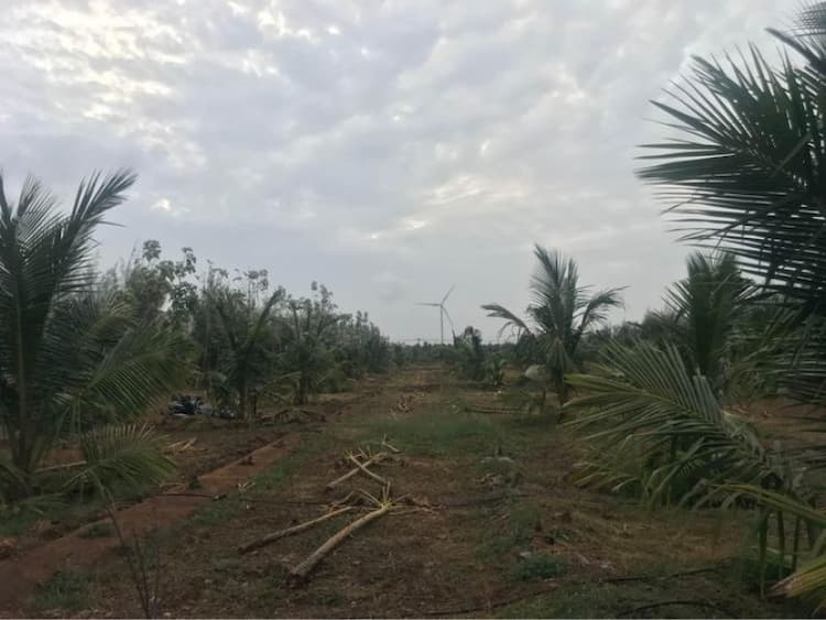 Land for Sale