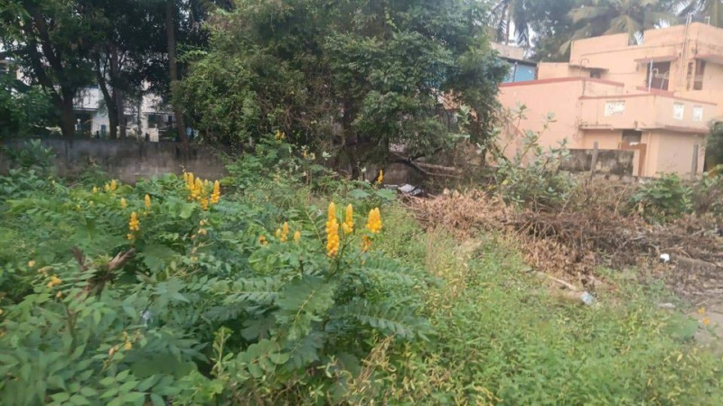 CMDA approved plots 