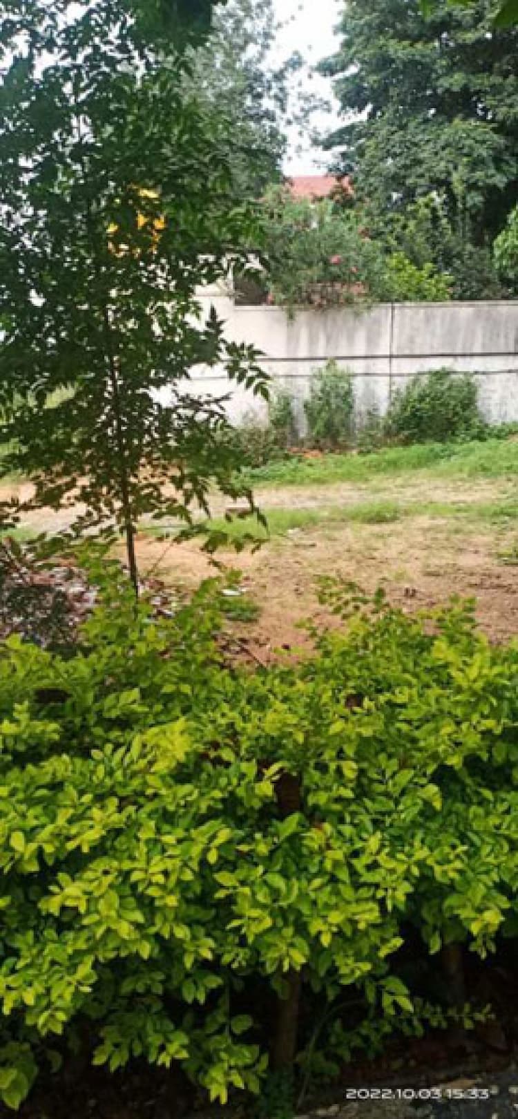 Plot sale