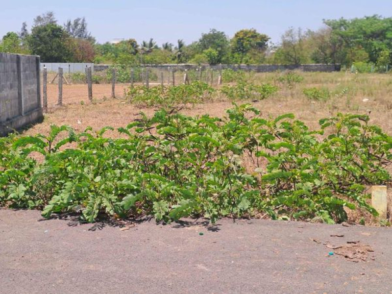 Plot sale