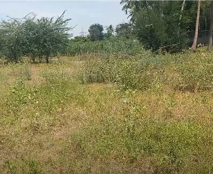 Land for sales