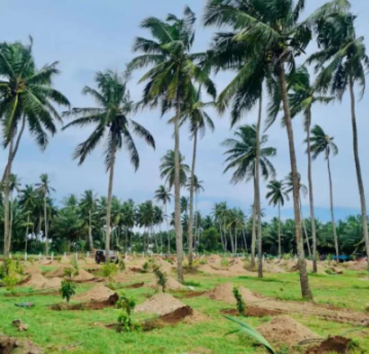 Land for Sale