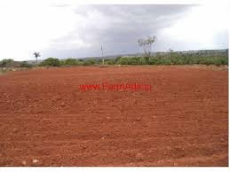 Plot for sale