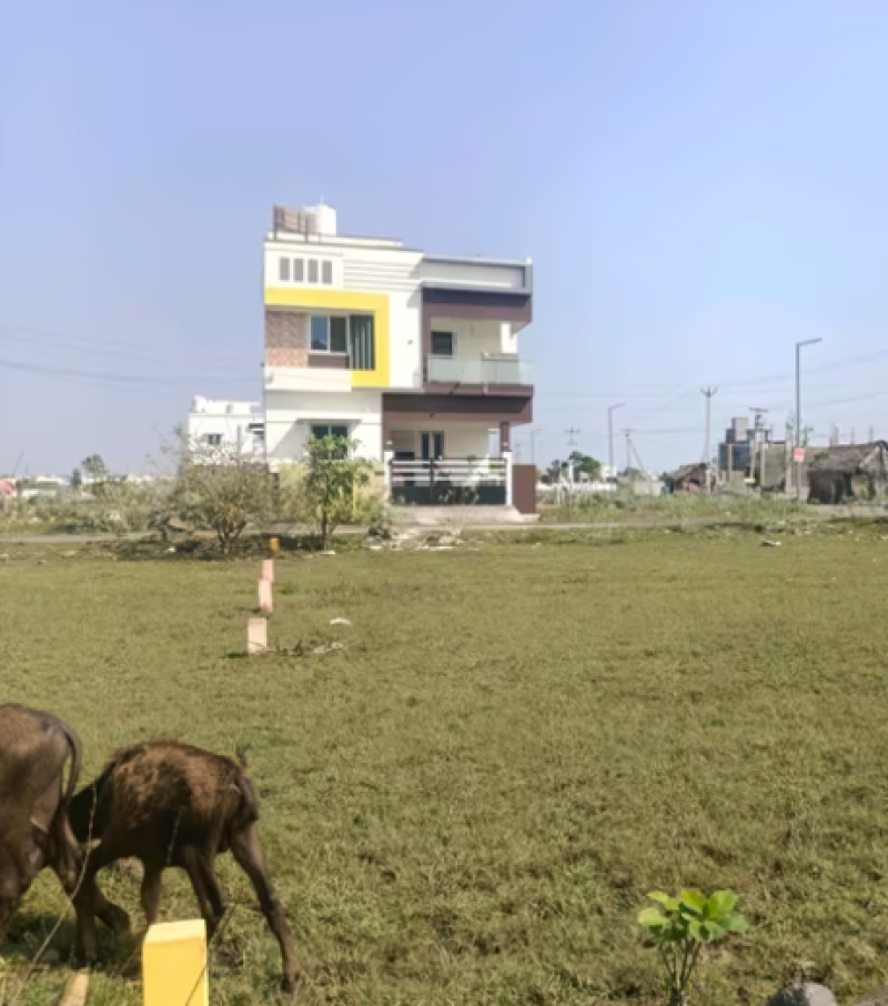 plot for sale 