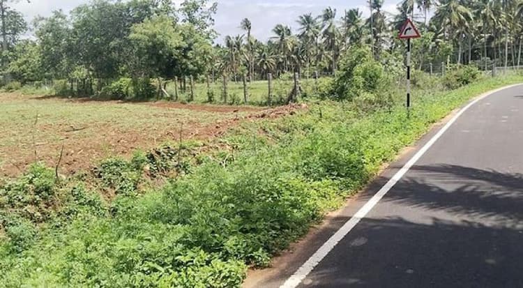 Single Property Image