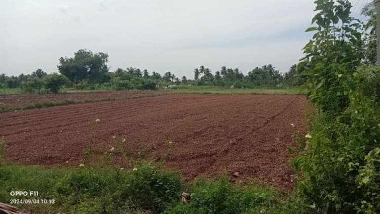 Land for sales